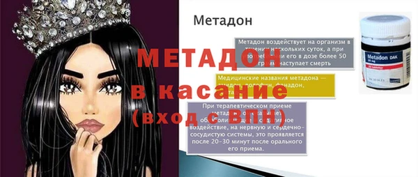 индика Новодвинск