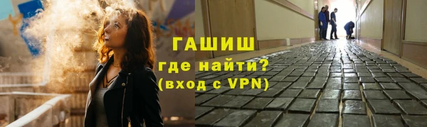 индика Новодвинск
