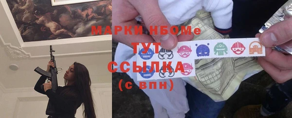 индика Новодвинск