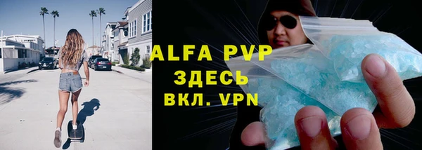 индика Новодвинск