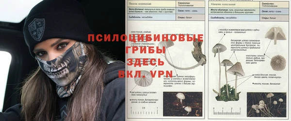 mdpv Новозыбков