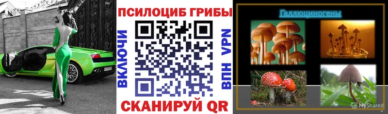 Псилоцибиновые грибы мицелий  Поворино 